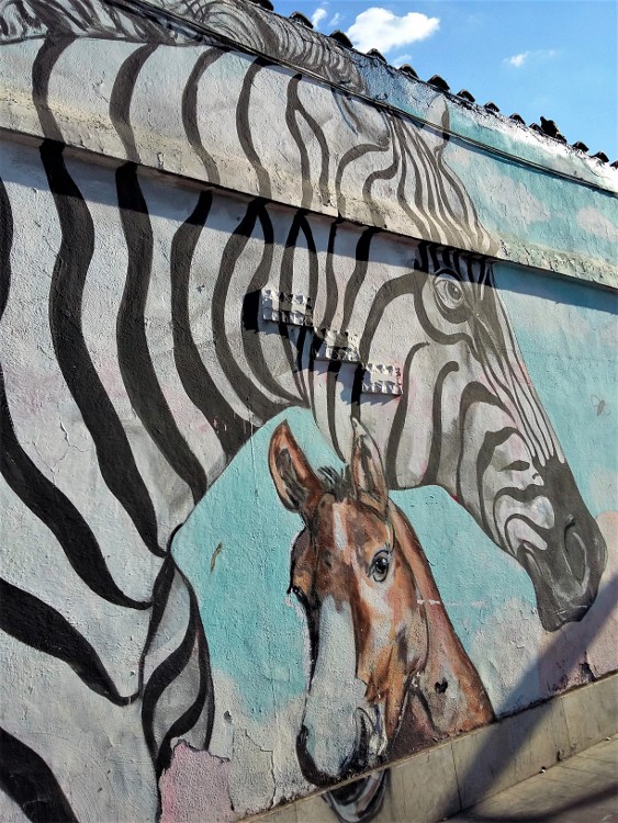 Luis Alberto Alvarez (MEX) - Via Prenestina Luis Alberto Alvarez (MEX) - Via Prenestina