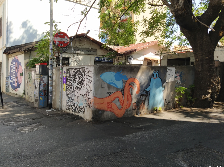 Insignares (USA) i LAC (IT), (foto 2020) - via Braccio da Montone Insignares (USA) i LAC (IT),(foto 2020) - via Braccio da Montone