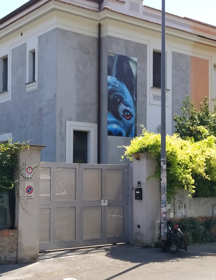 To Raise Hell (foto 2020) - Via Adriano Balbi To Raise Hell (foto 2020) - Via Adriano Balbi