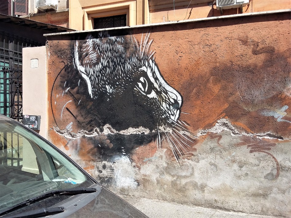C215 (FR) - via Ciro da Urbino C215 (Christian Guémy, FR) - via Ciro da Urbino