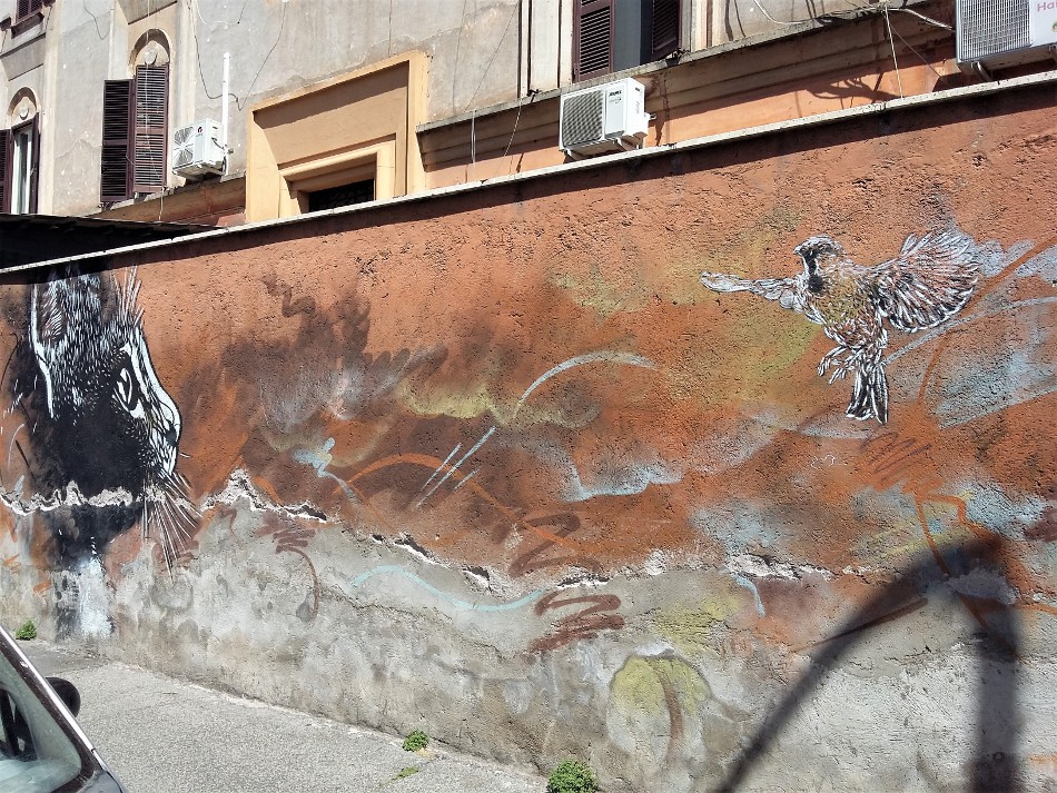 C215 (FR) - via Ciro da Urbino C215 (Christian Guémy, FR) - via Ciro da Urbino