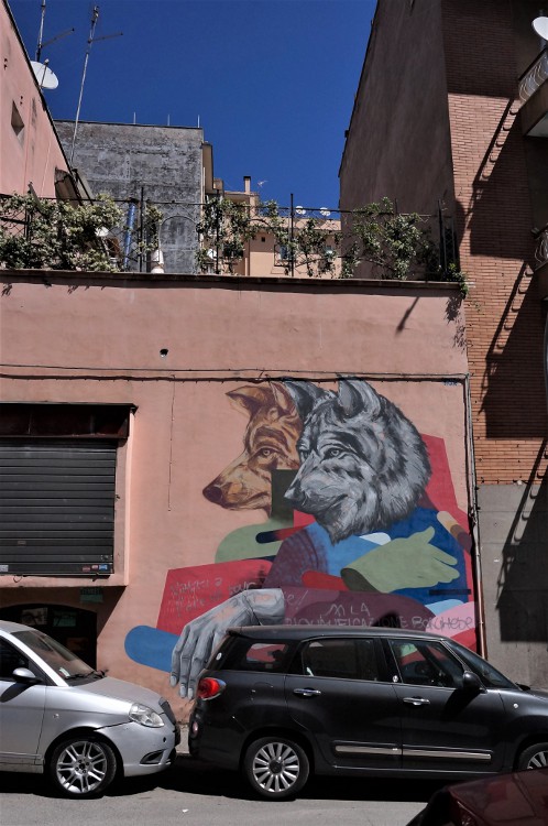 Draw & Contra (P), Wilczyca Kapitolińska - via Natale Palli Draw & Contra (P), Wilczyca Kapitolińska - via Natale Palli